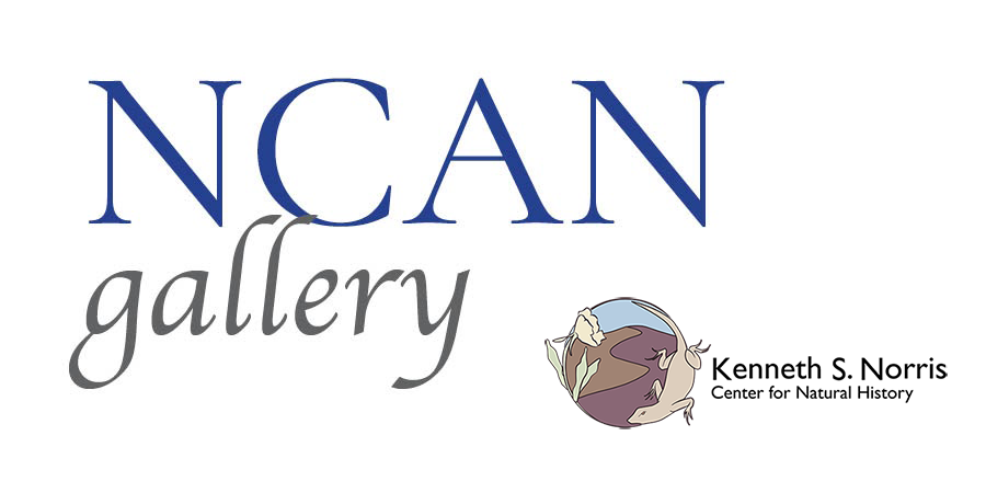 NCAN gallery banner 
